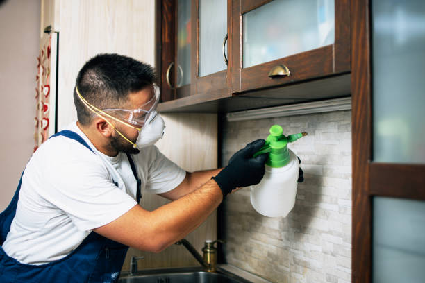 Best Wildlife Control Services  in North Catasauqua, PA