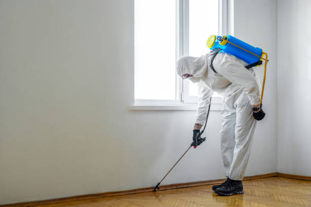 Best Insect Control  in North Catasauqua, PA