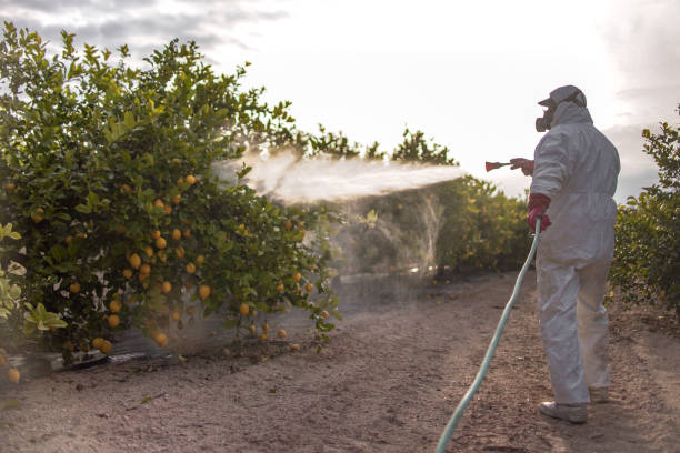 Trusted North Catasauqua, PA Pest Control Experts