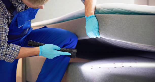Best Local Pest Control Services  in North Catasauqua, PA