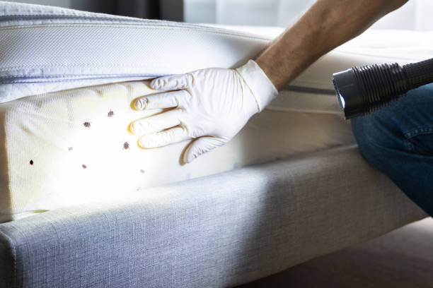 Best Mosquito Control Services  in North Catasauqua, PA