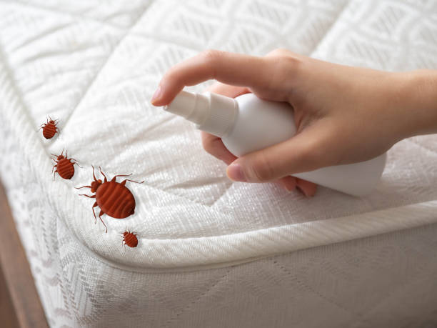 Best Pest Control Near Me  in North Catasauqua, PA