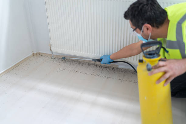 Best Ant Control Services  in North Catasauqua, PA