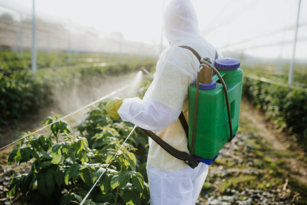 Best Cockroach Control Services  in North Catasauqua, PA